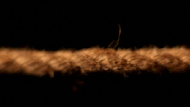 Detail of bondage rope on black background