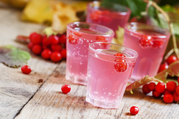 Pink cocktail with viburnum, cranberry and mountain ash on an au