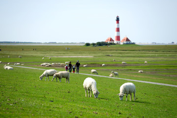 Westerhever Leuchtturm - Nordsee