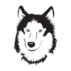Siberian Husky. Stock Vector Illustration.
