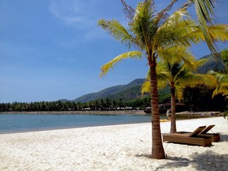 palms & sunbeds at a white sand beach in Vietnam