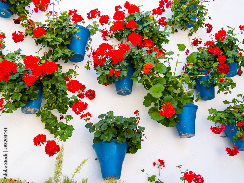 Sticker Flowers