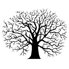tree without leaves silhouette
