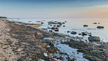 Fototapeta na wymiar Stone beach of the Baltic Sea