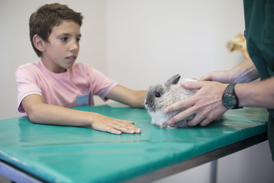 Boy at the veterinarian with a bunny on the exam table