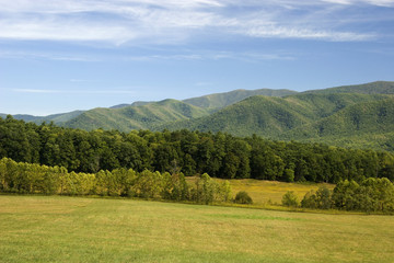 Fototapeta na wymiar Cades Cove Valley and Mountains in TN