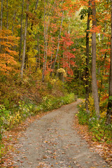 Fototapeta premium Country Gravel Road