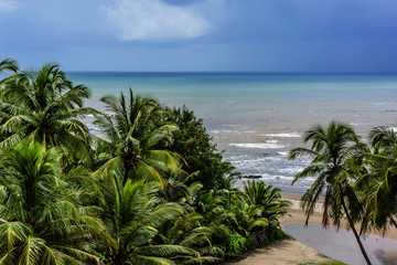 Fototapeta na wymiar Nature of Vagator - red cliffs, palm trees, Arabian Sea, Goa.
