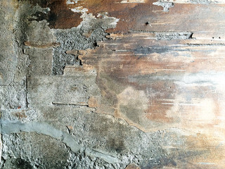 Background concrete wall.
Rough concrete wall texture, different color.