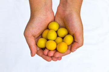 hand yellow plums