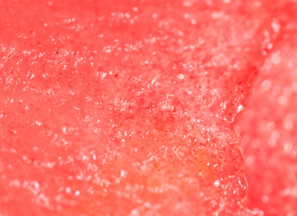 the flesh of watermelon. Super Macro