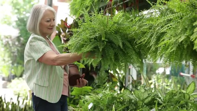 Elder woman looking plants in a flower shop