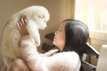 Little asian playing with siberian husky puppies