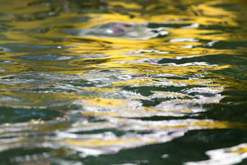 abstract surface of the water