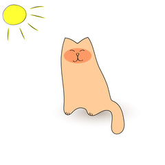 Fat cat basking in the sun.