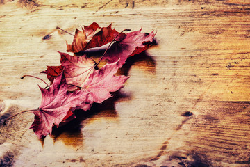 Naklejka na ściany i meble Autumn. Seasonal Background. Autumn leaves loose on a wooden board. Toned photo