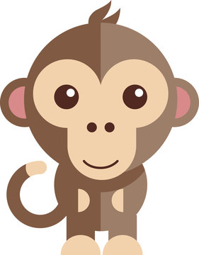 Cute Monkey