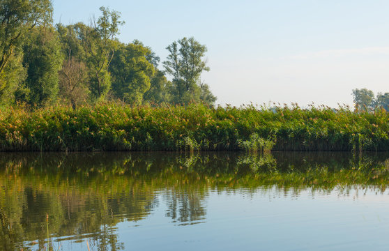 Shore of a hazy sunny lake in autumn