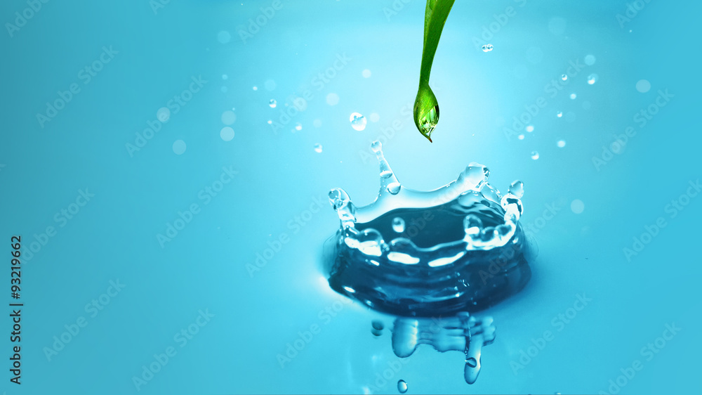 Wall mural water drop and splash with green leaf