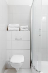 Simply furnished bathroom