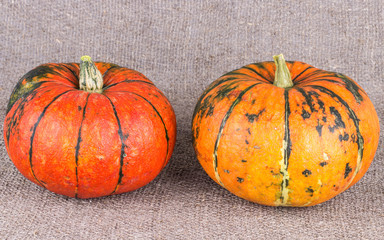 pumpkins