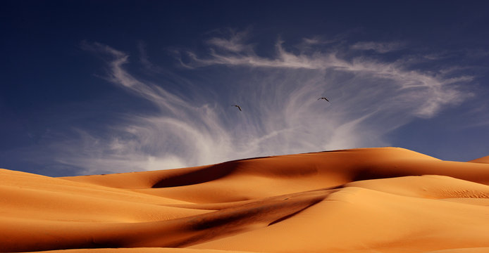 Sand Dunes Along the Border