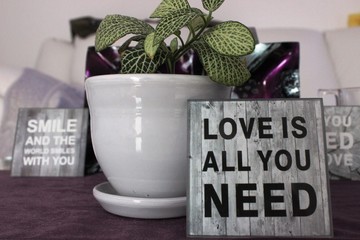 Quote - Love is all you need