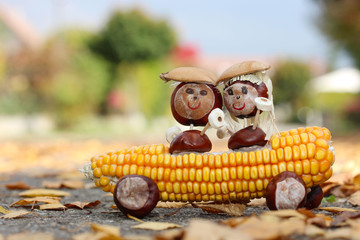 Kastanienpärchen im Maiskolben-Cabrio