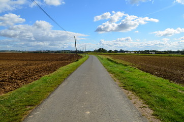 Fototapeta na wymiar Route de campagne dans la région de Tilly sur Seulles (calvados-Normandie) 