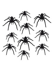 spider pattern design many disgusting fear
