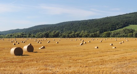 Obraz premium Slovakian countryside