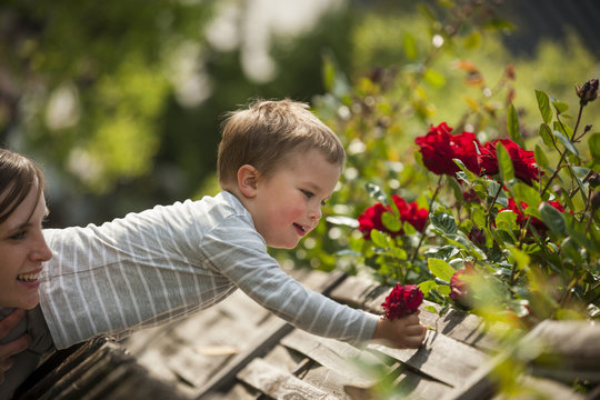 Mother helping his little son picking flowers