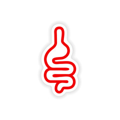 paper sticker on white background human intestine