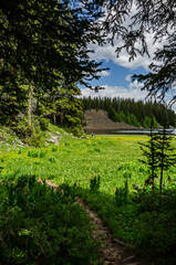 Fototapeta na wymiar Exiting Forest Towards a Mountain Lake
