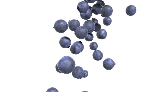 Blueberry Cascade - White Background.