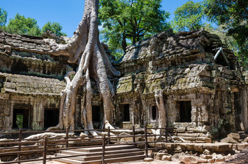 Naklejka premium Ta Prohm Temple, Siem Reap,Cambodia