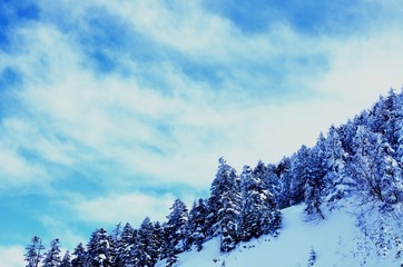 雪山と青空



