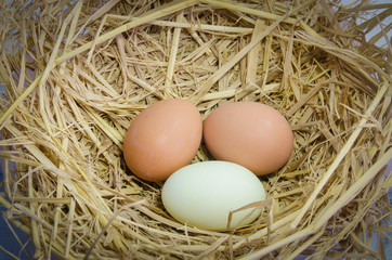 Three eggs Top view