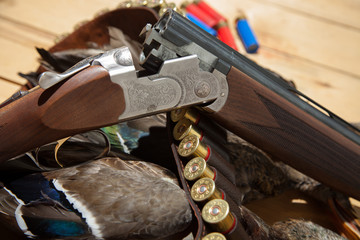 Gun, hunting, a dead duck, and ammunition