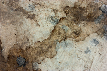  texture of an old concrete wall