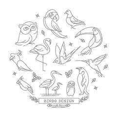 Bird line icons with outline style vector design elements