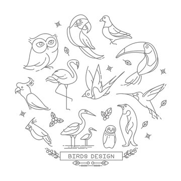 Bird line icons with outline style vector design elements