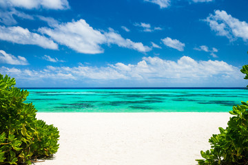  Maldives beach