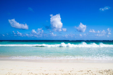  beach and tropical sea