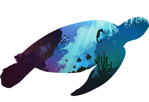 recommend clip art: turtle