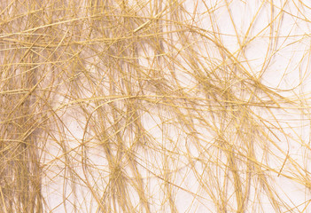 Obraz premium wood chips