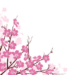 Branches with Pink Flowers Isolated on White Background