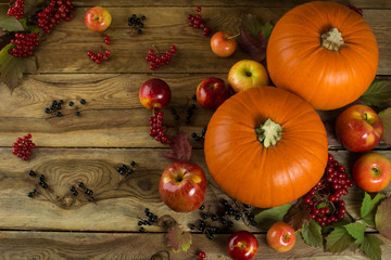 Ripe pumpkins, apples, berries and leaves on wooden background. Selective focus. The toning