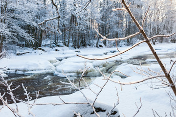 Tree branches with frost by a river in winter