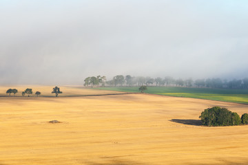 Obraz premium Rural landscape view